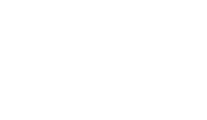 Weidenkopf-Immobilien-Logo-weiss
